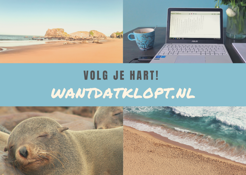 grid met rustgevende afbeeldingen in blauw, zee, strand, slapende zeehond en laptop van wantdatklopt.nl